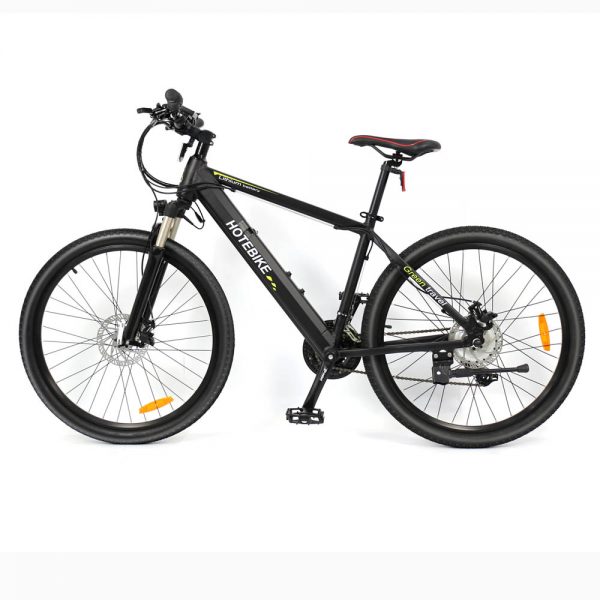 15 years professional electric bike manufacturer